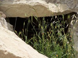 Cerro de la Almagra 2004